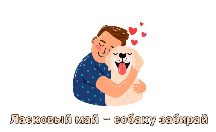 Ласковый май—собаку забирай!.